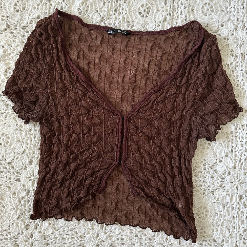 SHEIN Brown Sheer Crop Top